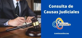 Consulta de Causas Judiciales - consejo de la judicatura
